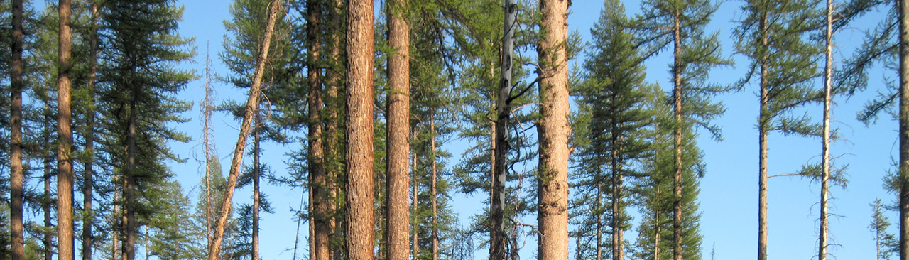 Gallery | August 2017 homepage image 2