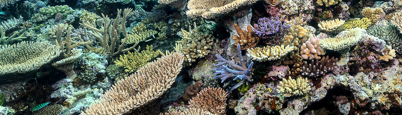 Gallery | February 2018 homepage image 2