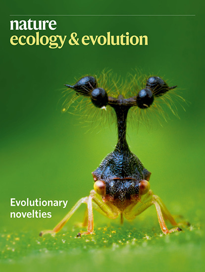 Gallery | February 2020 cover