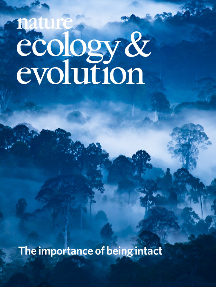 Gallery | April 2018 cover