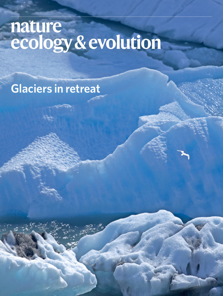 Gallery | December 2019 cover