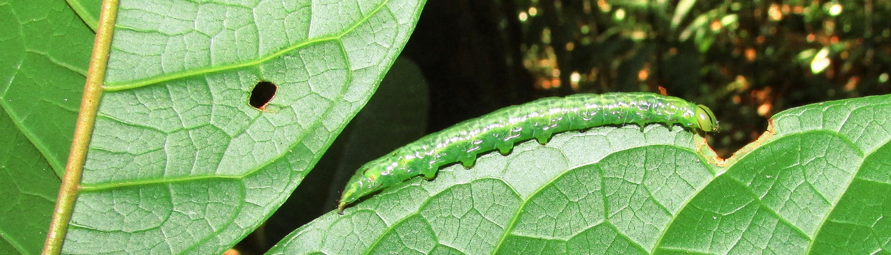 Gallery | June 2018 homepage image 1