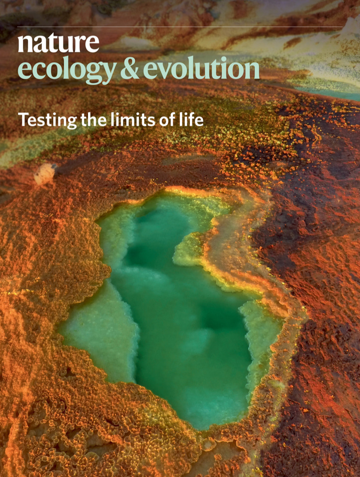 Gallery | November 2019 cover