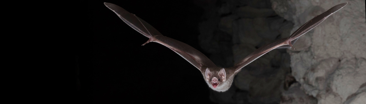 Gallery | April 2018 homepage image 1