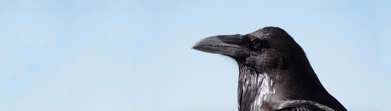 Gallery | November 2017 homepage image 1