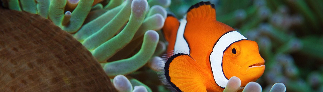 Gallery | June 2017 homepage image 2