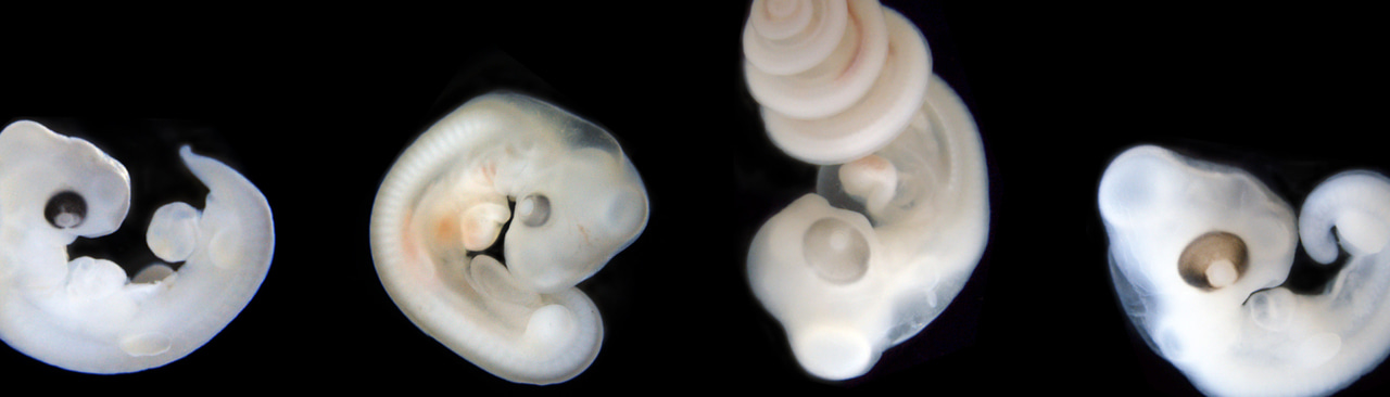 Gallery | September 2017 homepage image 1