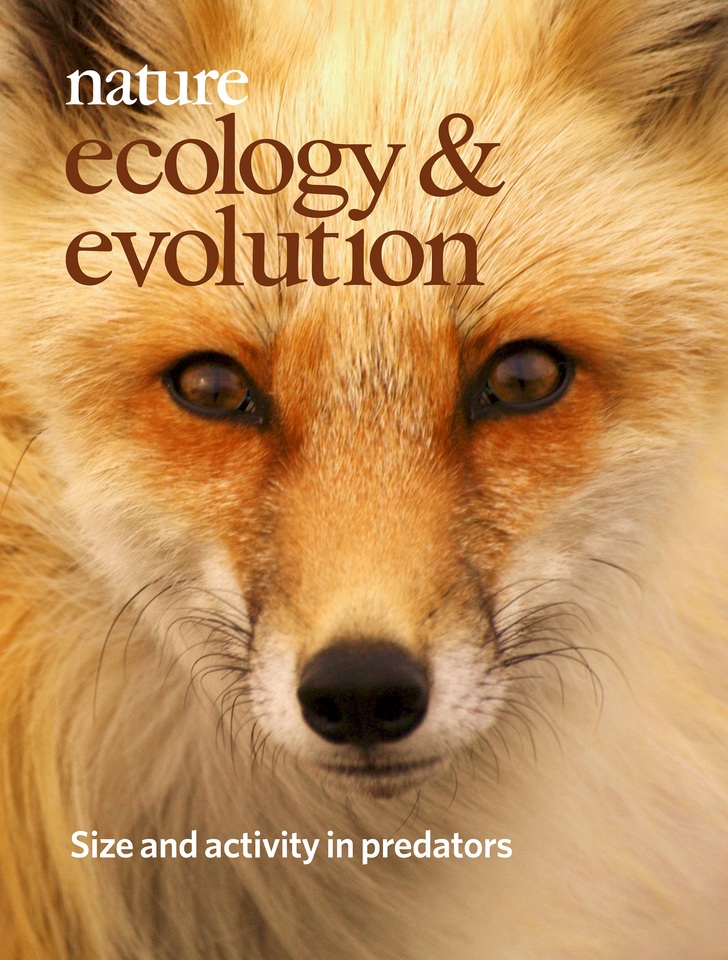 Gallery | February 2018 cover