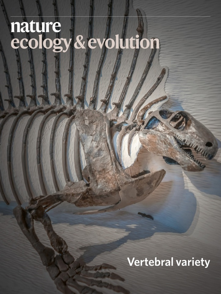 Gallery | March 2020 cover