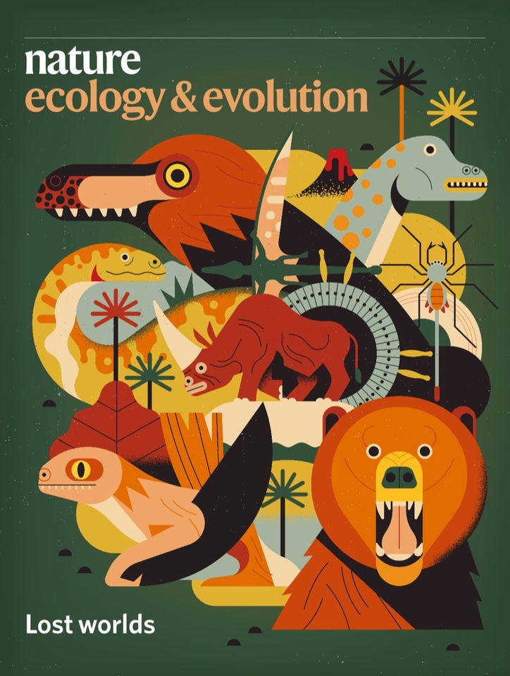 Gallery | January 2020 cover