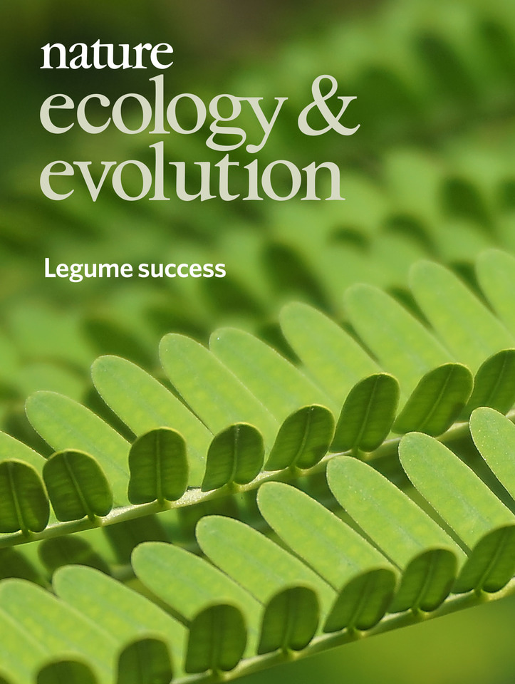 Gallery | July 2018 cover