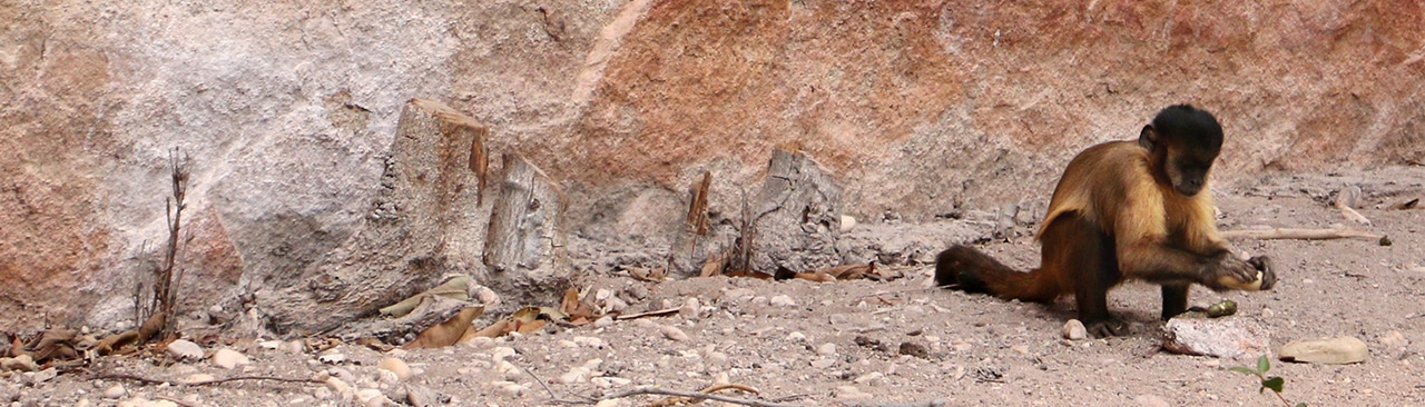 Gallery | October 2017 homepage image 1