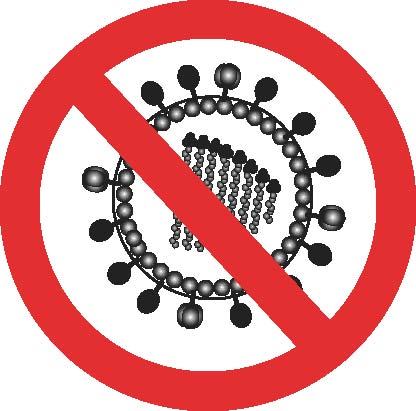 Entry forbidden: a new antiviral ISG identified