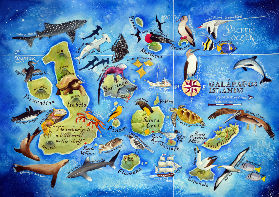 The Galapagos Bargain: Conservation and the Extractive Imperative in Ecuador