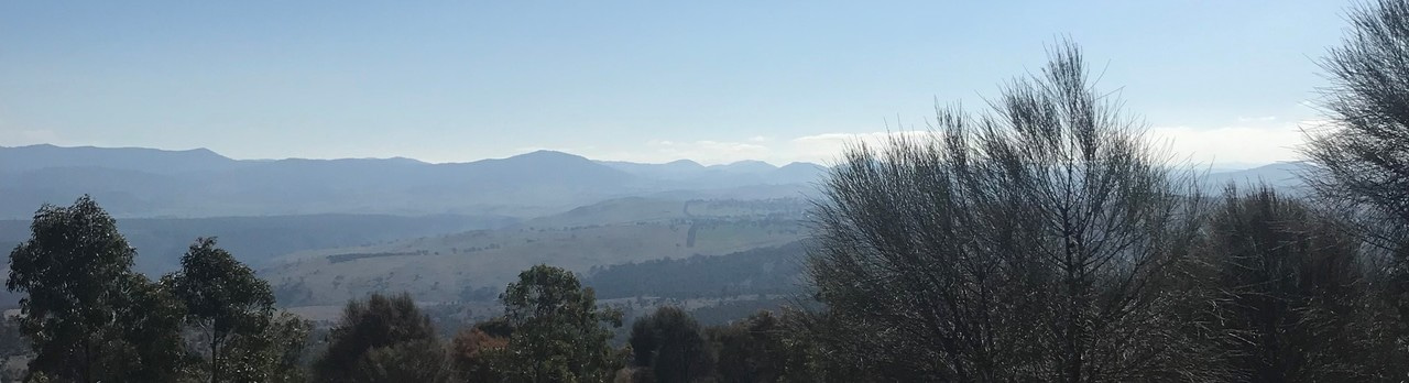 Energy transition, like coronavirus response, is a global scale problem that will rely on sub-national actors to pick up the slack where national and international action falls short