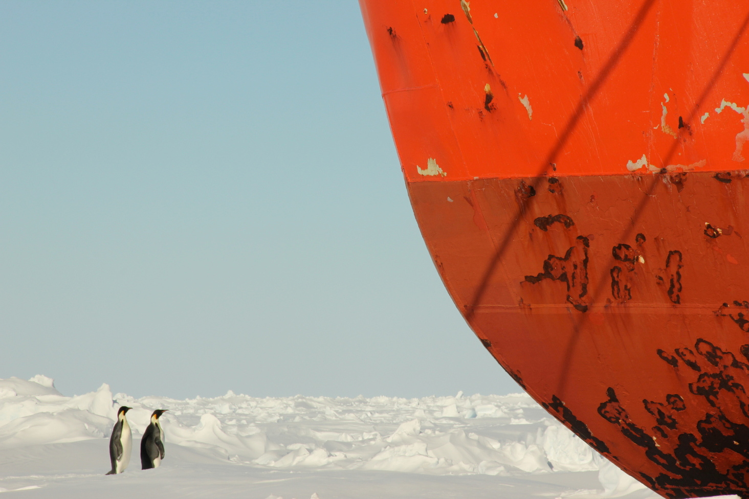 Science on ice: microbes and mercury in Antarctica