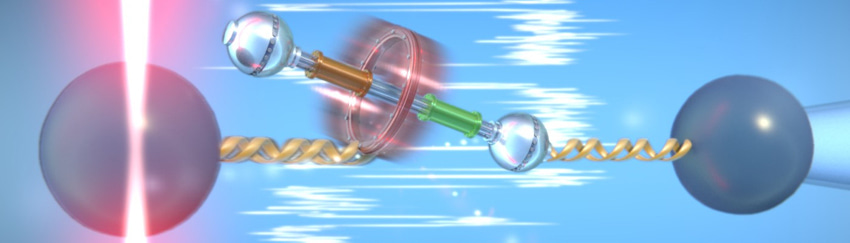 Five minutes in the life of a molecular shuttle