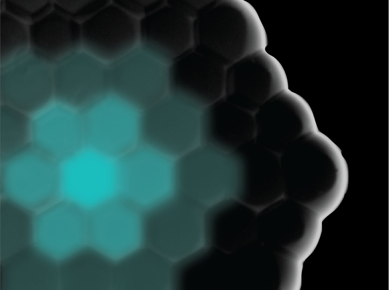 Signaling and differentiation in synthetic tissues