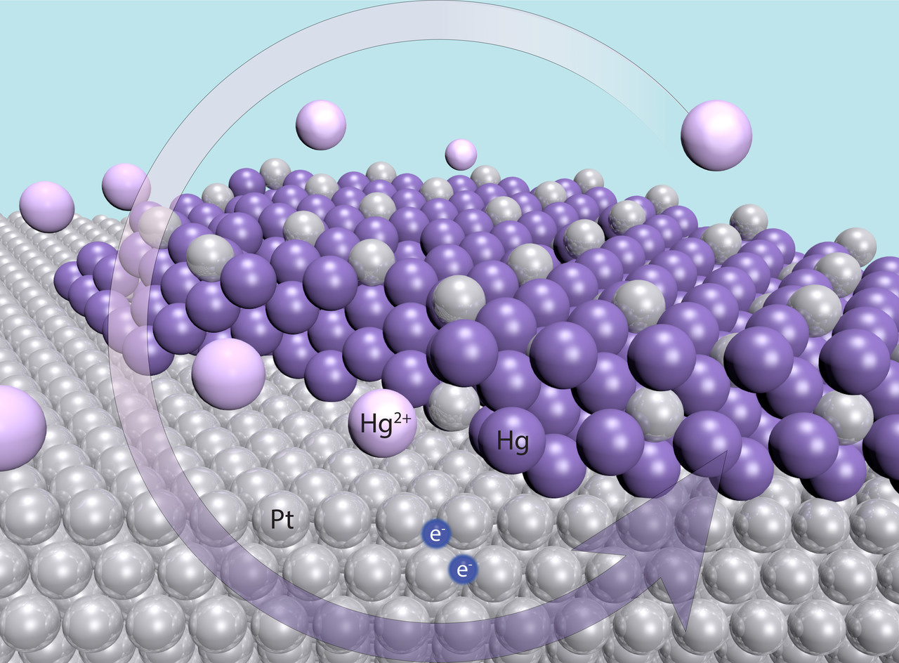 Removing Mercury from Water