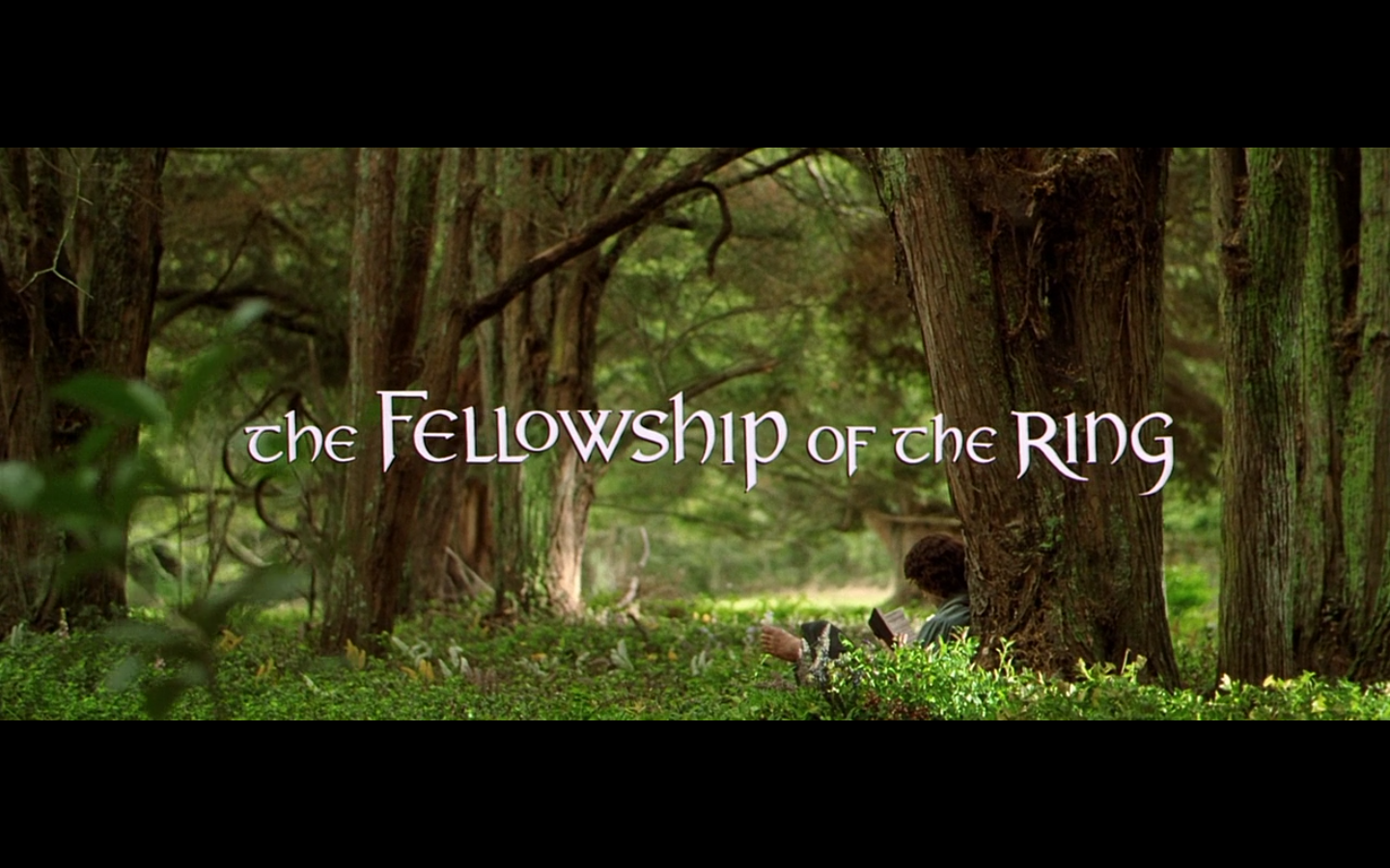 The fellowship of the ring: a tale of biofilm and dermatological diseases