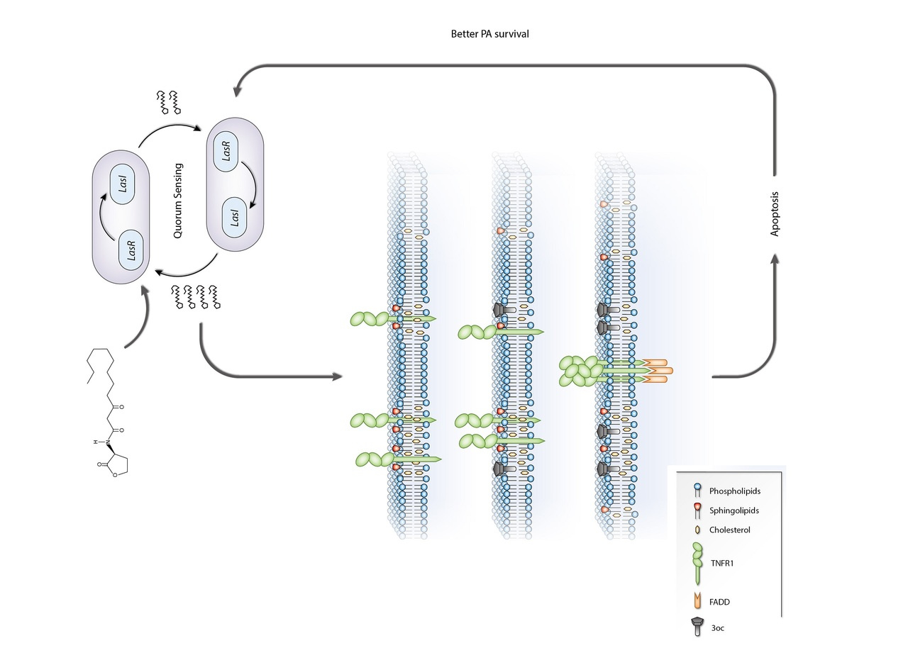When communication skills becomes a weapon