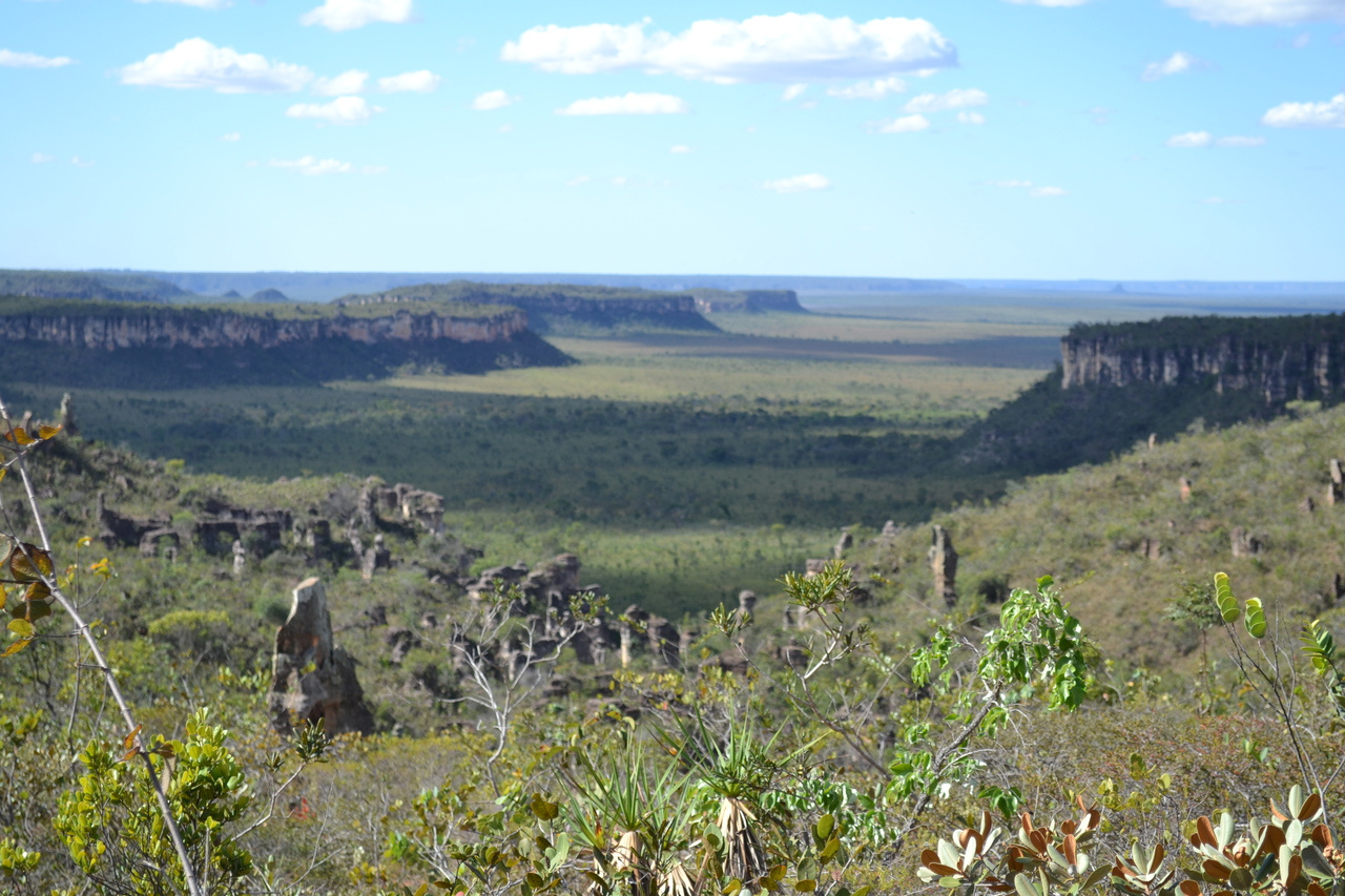 Spillover effect offsets the conservation effort in the Amazon