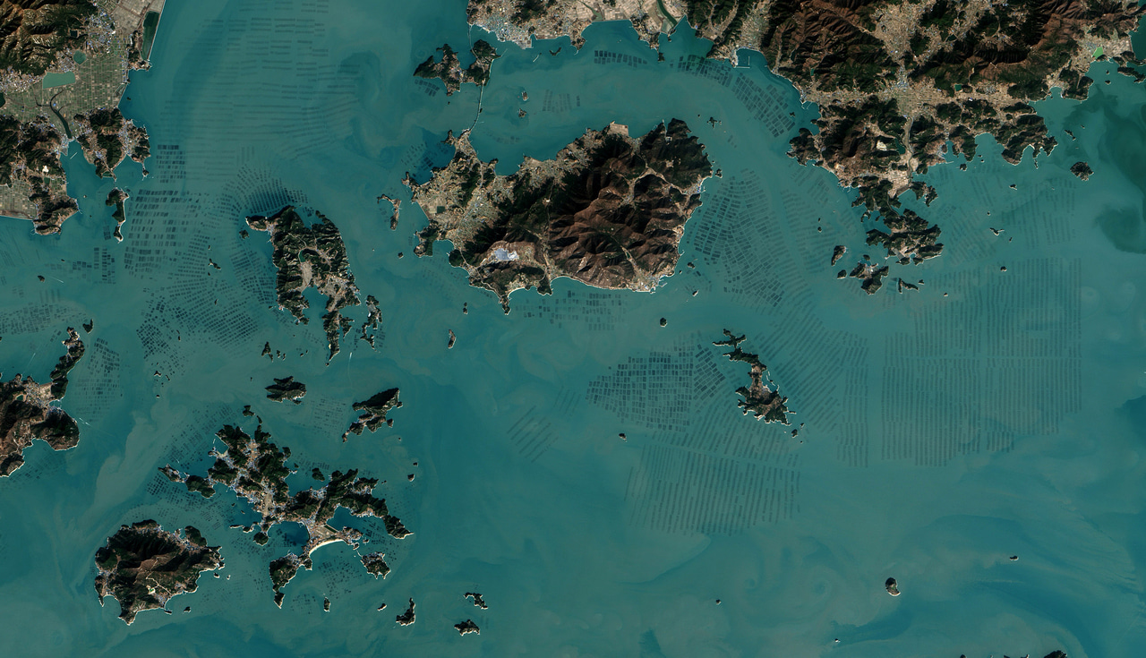 The potential of future foods for sustainable and healthy diets