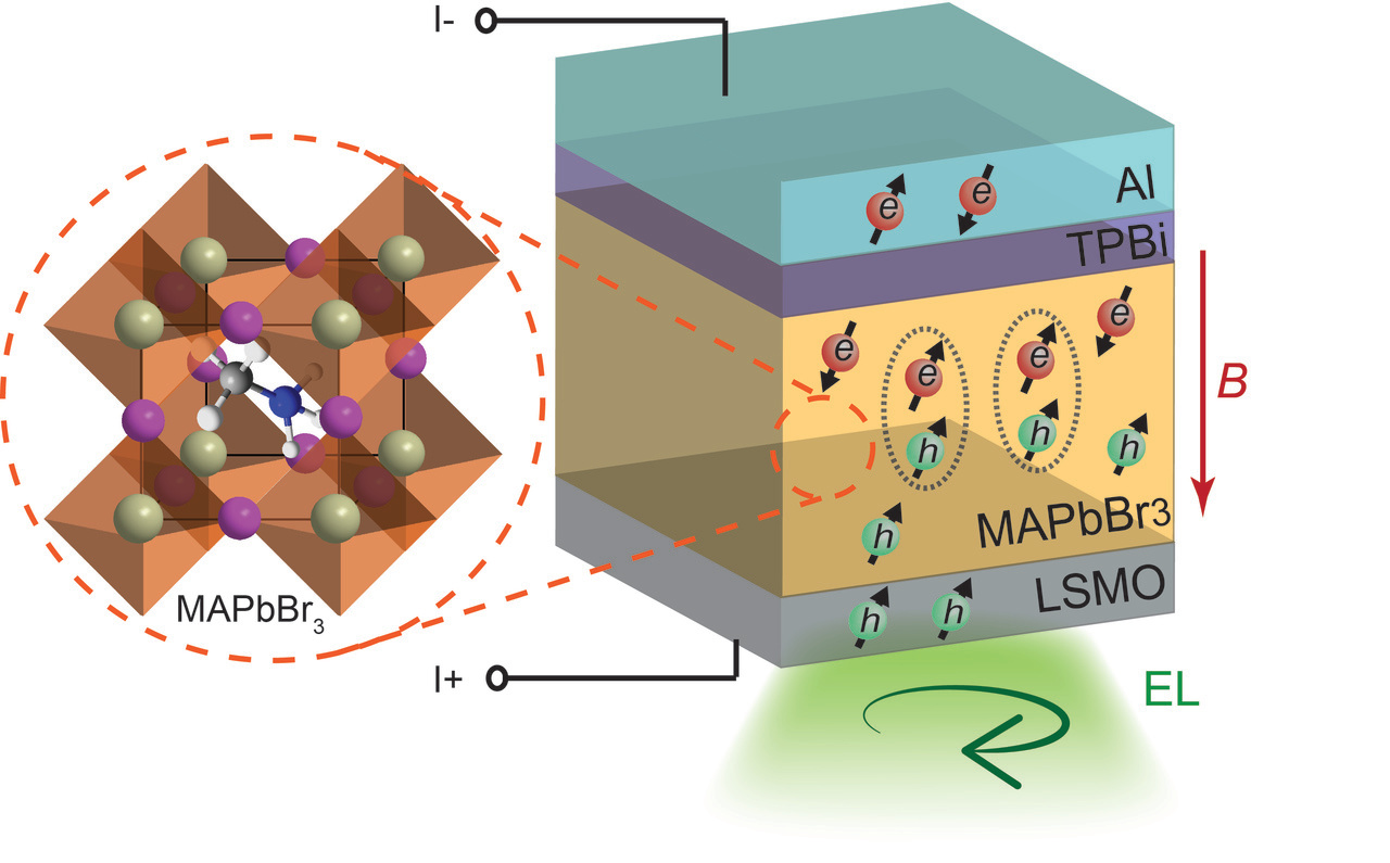 Debut of hybrid organic-inorganic trihalide perovskites spintronics
