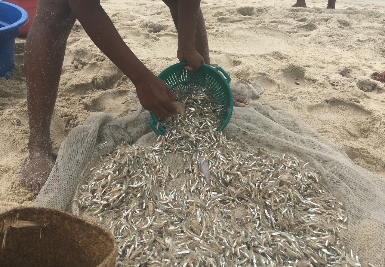  Reconciling SDG conflicts: the case of mosquito net fishing