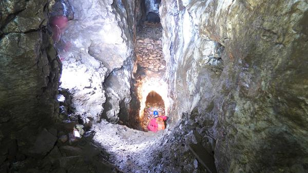 Go to the profile of Gavin Stewart