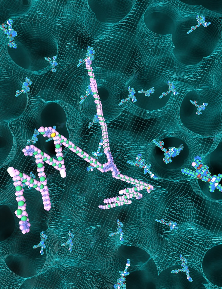 Liquid-phase iterative synthesis with molecular sieving: Toward next-generation precision synthetic polymers