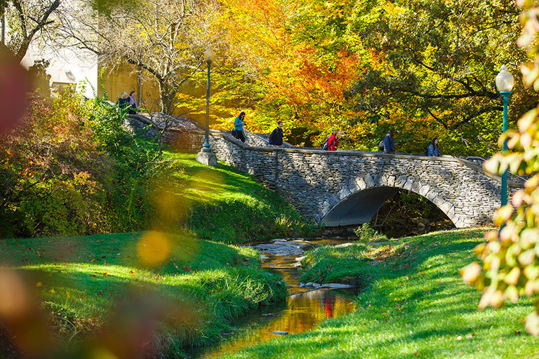 Measuring the effect of expressing your feelings on social media