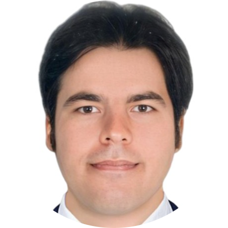 Go to the profile of Javad Javidnia