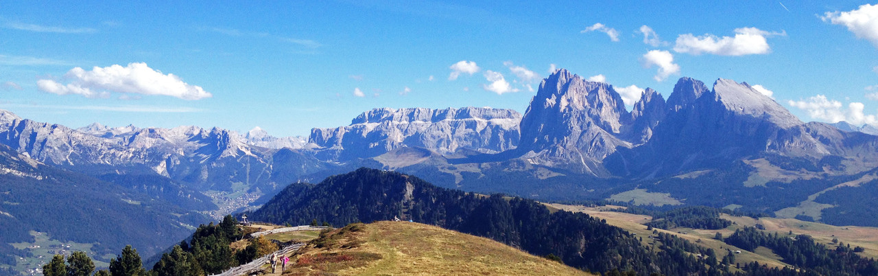 Overdominance in Alpine orchids; a detective story