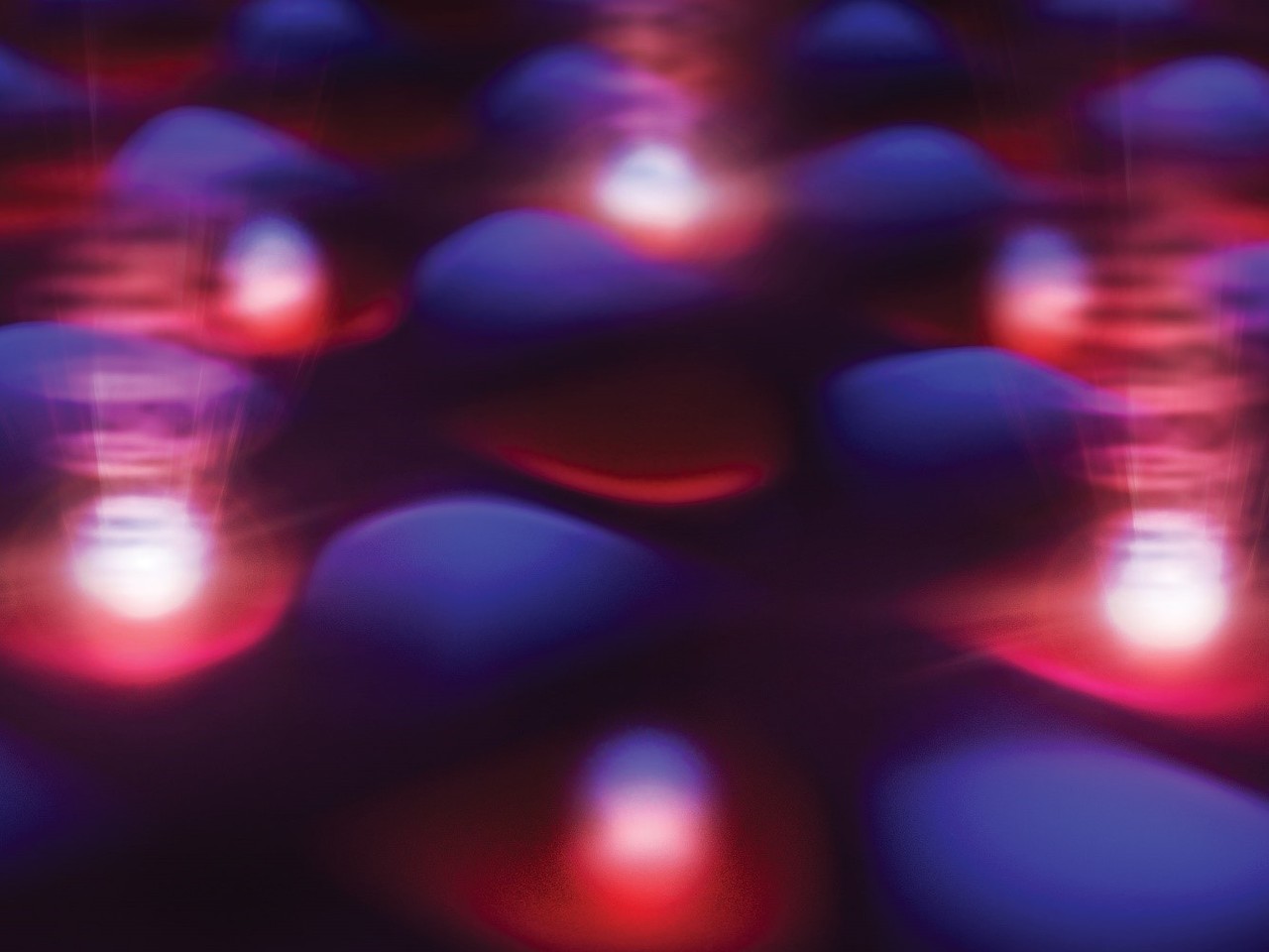 Moiré excitons in a 2D semiconductor heterobilayer