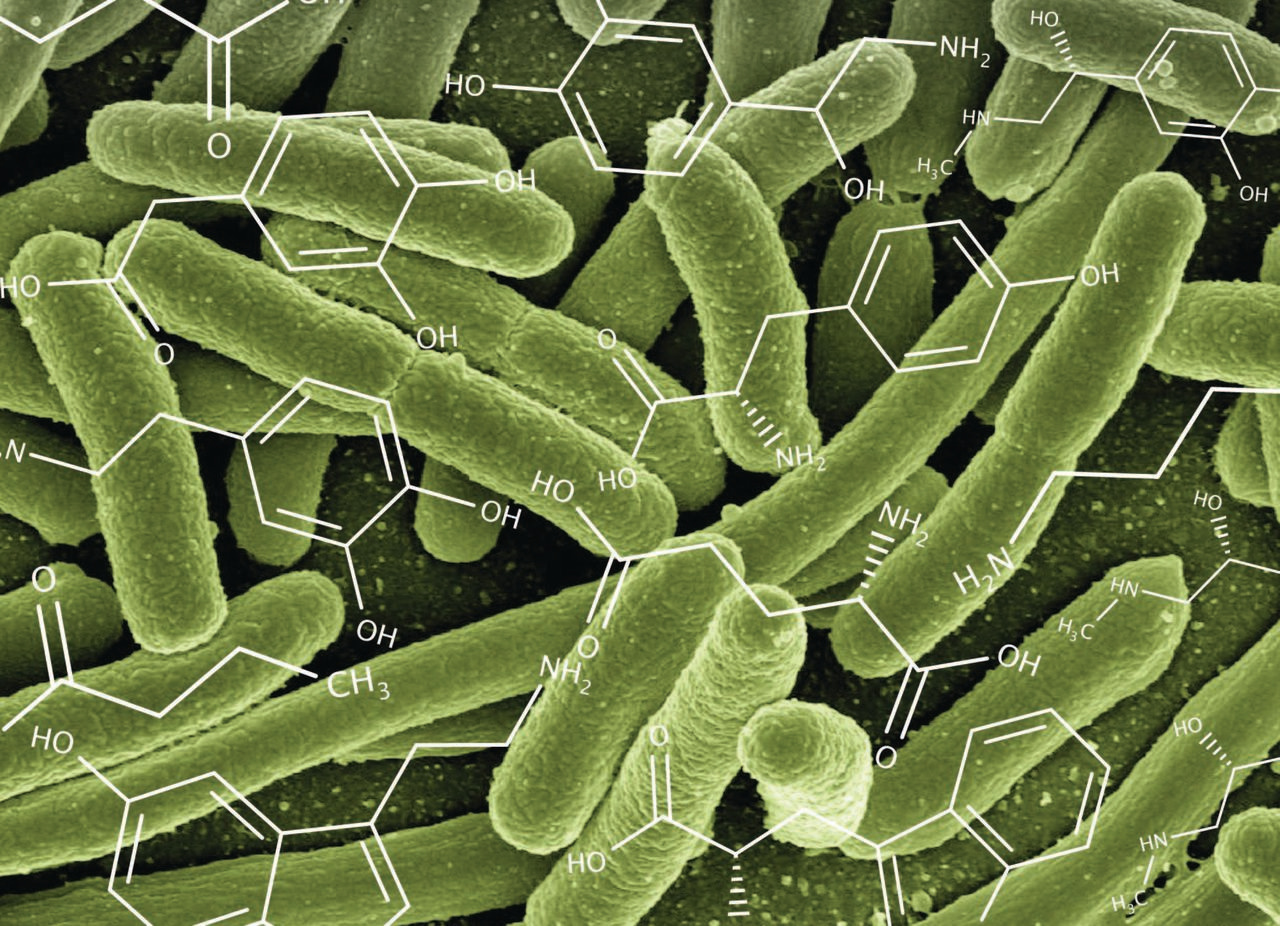 Assessing the neuroactive potential of the human gut microbiota 