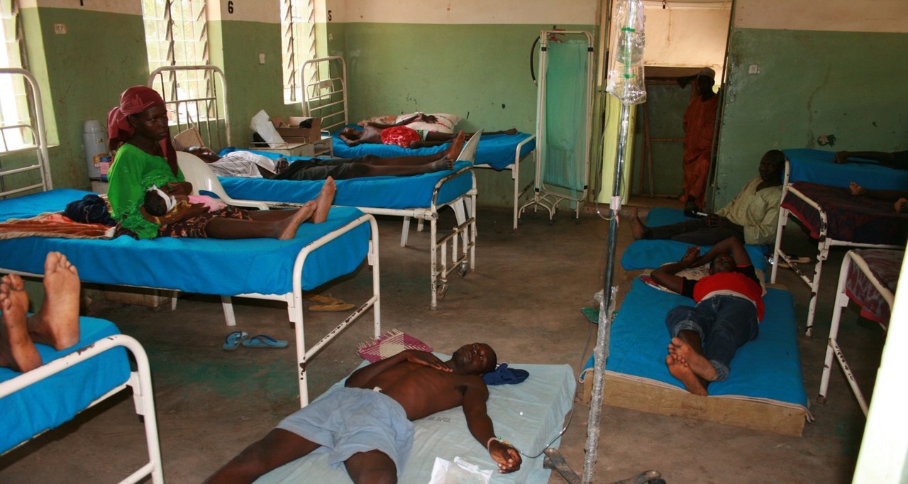 After the Paper: High-throughput drug screening for Neglected Tropical Diseases: from filariasis to snakebite