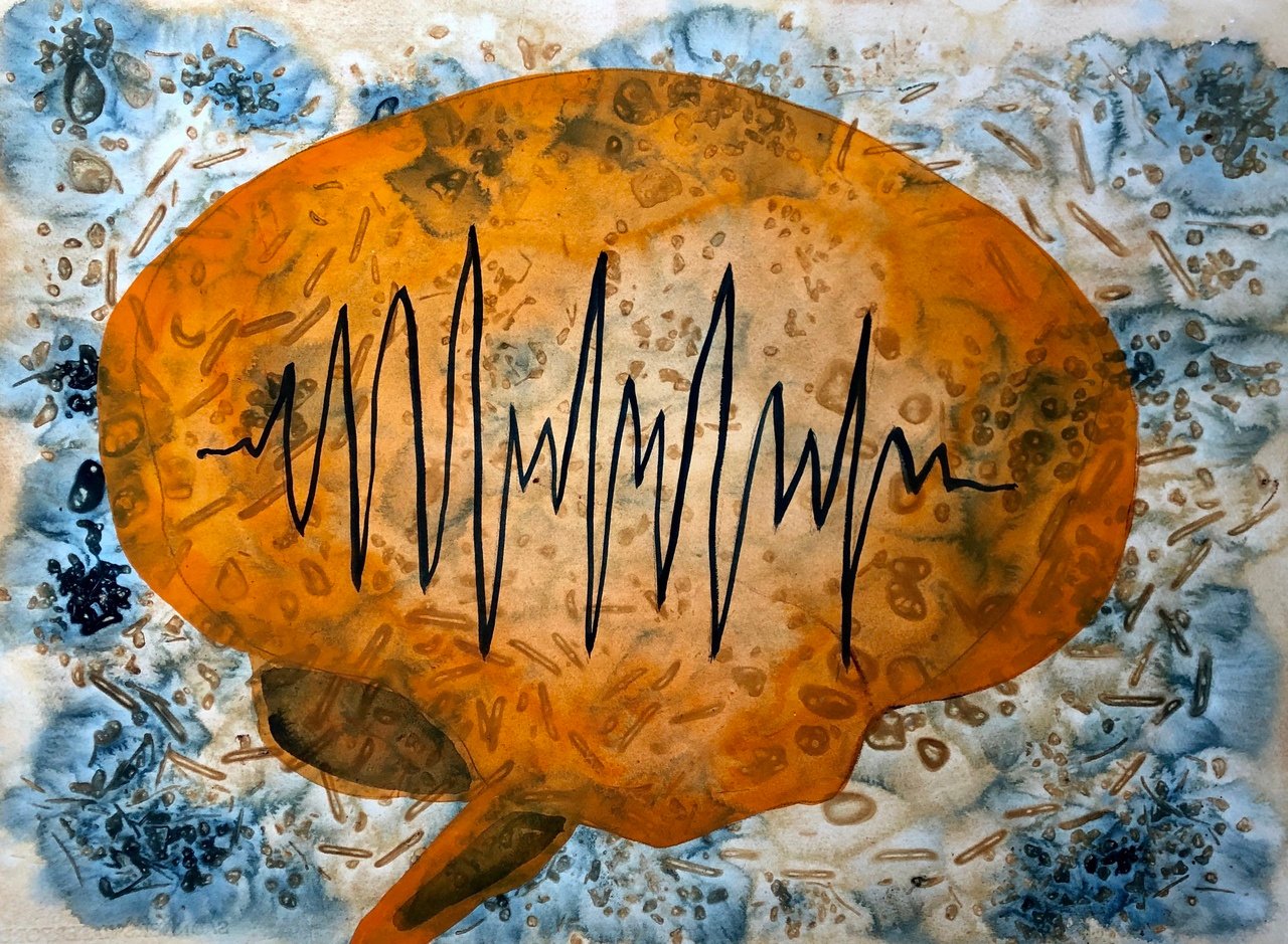 After the Paper: The ketogenic diet induces complex changes in the holobiont