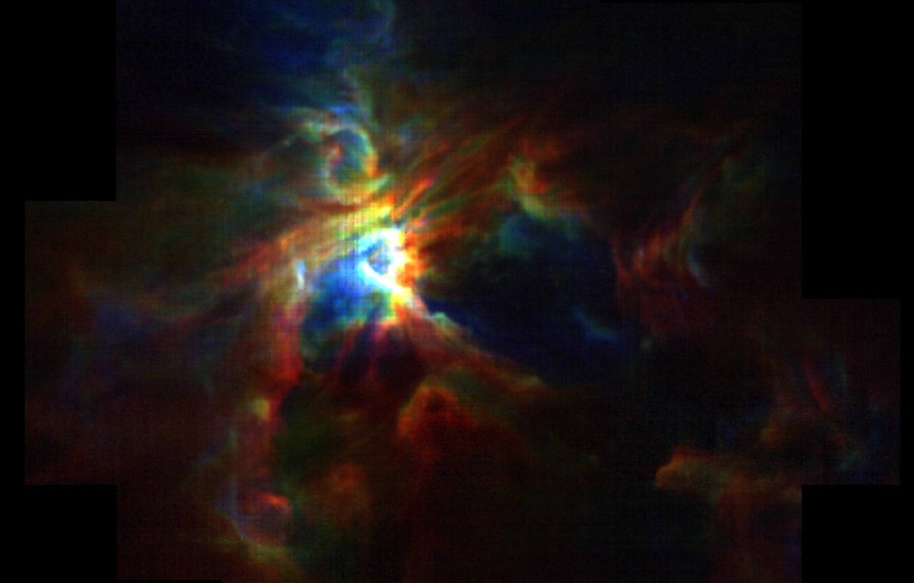 Lifting the Veil on Star Formation in the Orion Nebula