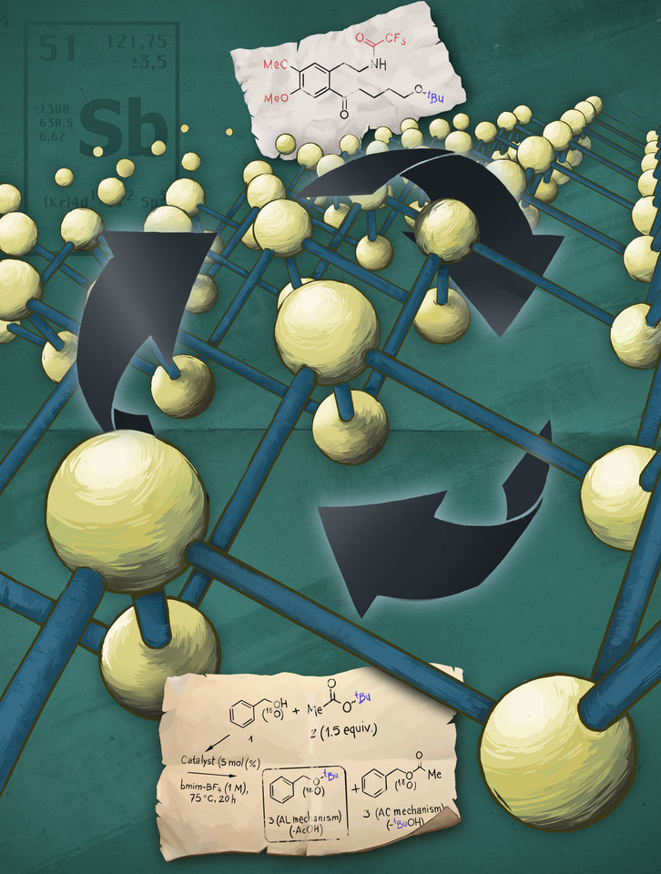 Few layer 2D pnictogens catalyze the alkylation of soft nucleophiles with esters