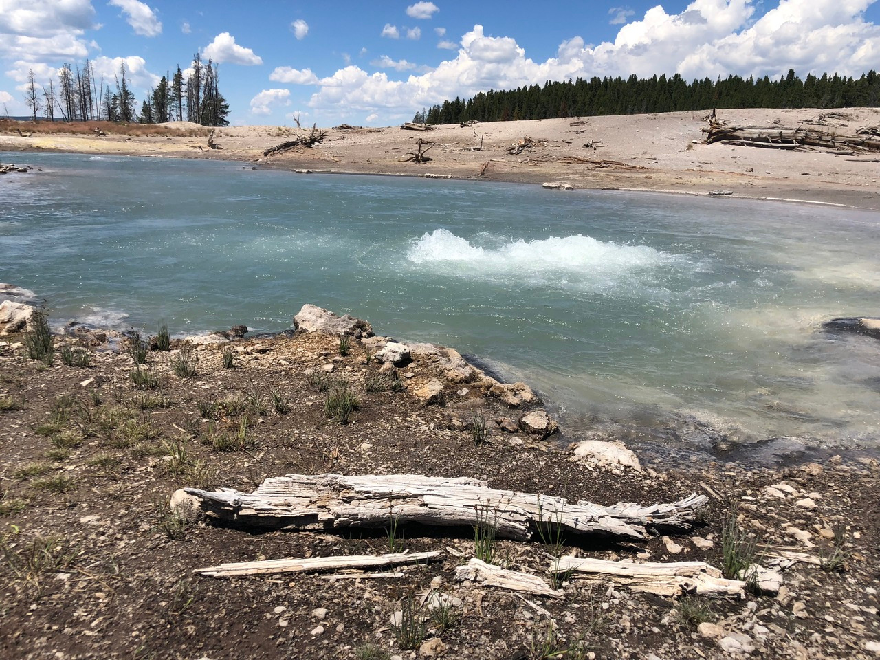 New insights into the nature of microorganisms important in the sulfur cycle on early Earth 