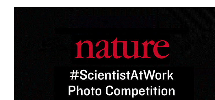 Announcing the 2019 ScientistAtWork photo competition