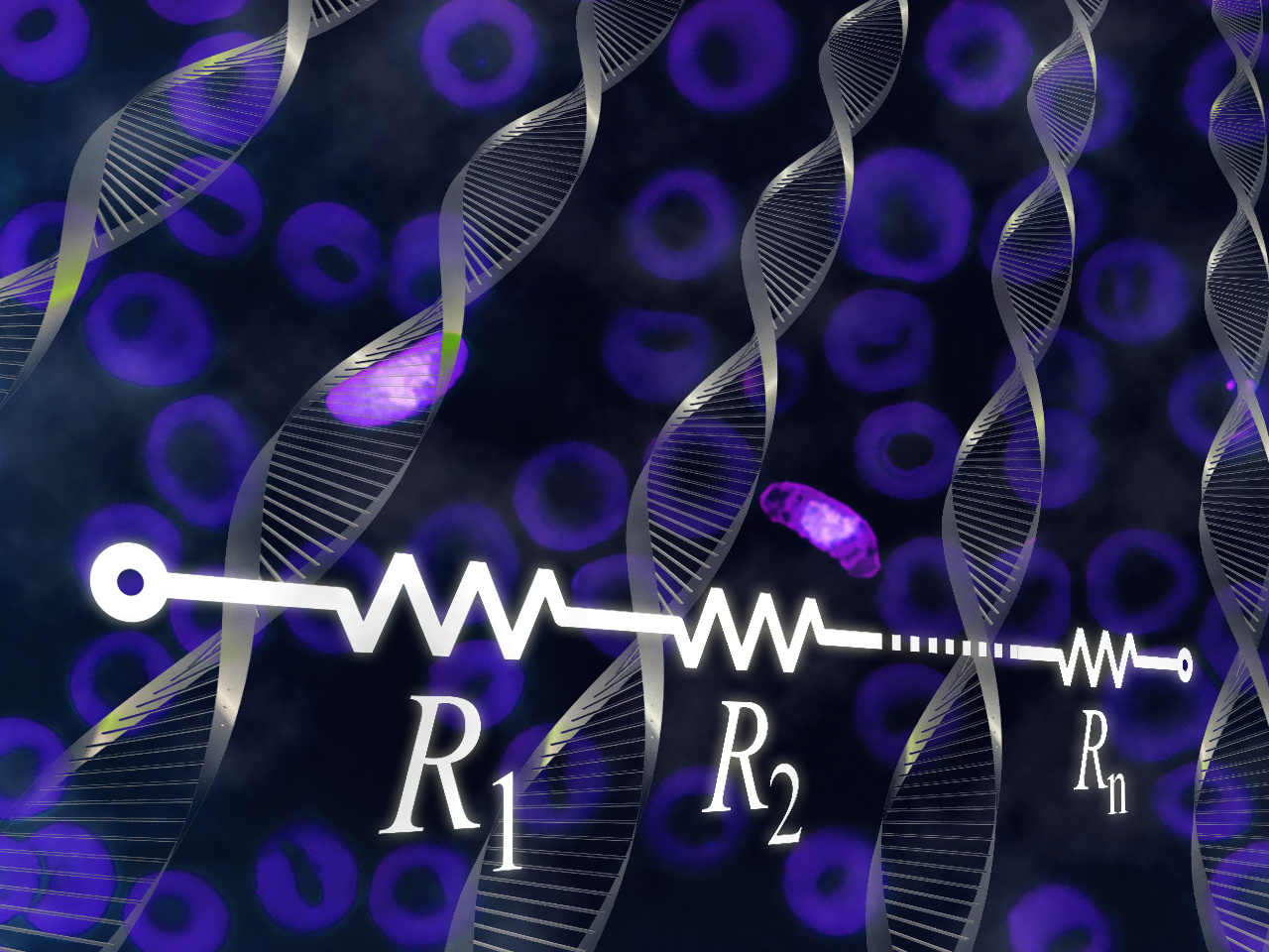 How electrical circuits sparked a breakthrough in evolutionary theory