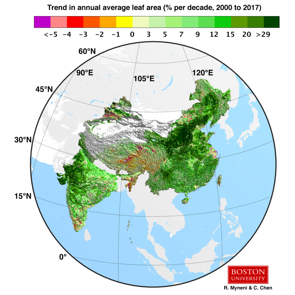 China and India lead in greening of the world through land-use management