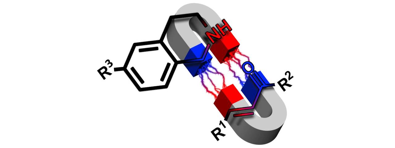 With Carbon Nitride Photocatalysis toward “Shiny” Molecules from Bifunctional Precursors
