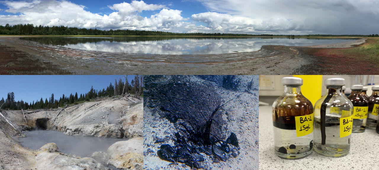 New perspectives on methane and short-chain alkane metabolisms in the archaea