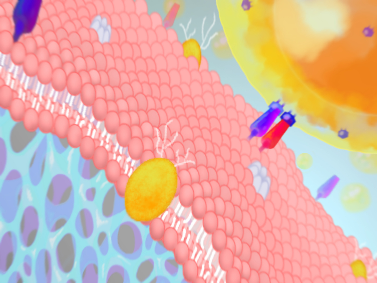 Hydrogel instills new life into cells