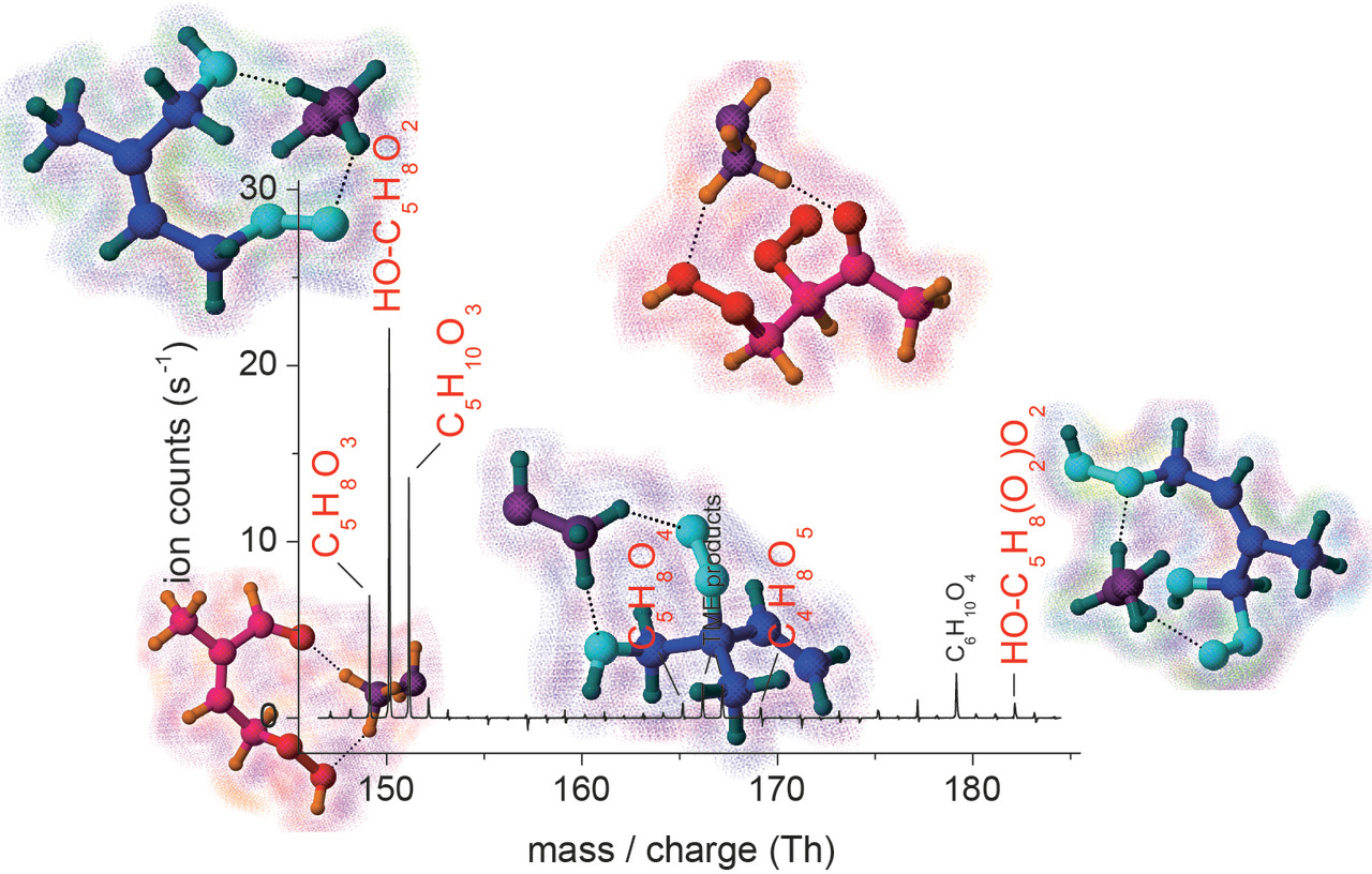 Deeper insight into elementary processes of atmospheric gas-phase reactions