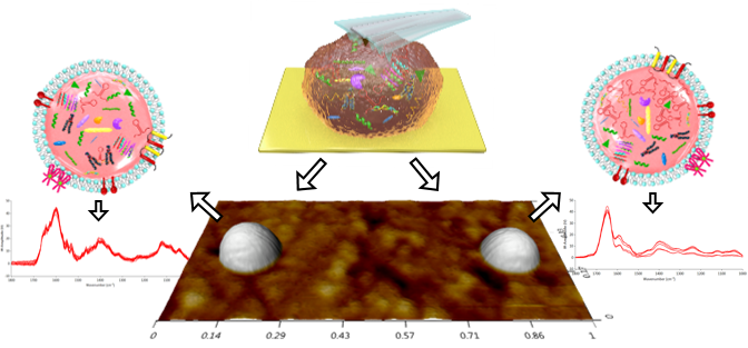 Decoding nanoscale cellular messages – advancing extracellular vesicles towards mainstream medicine.