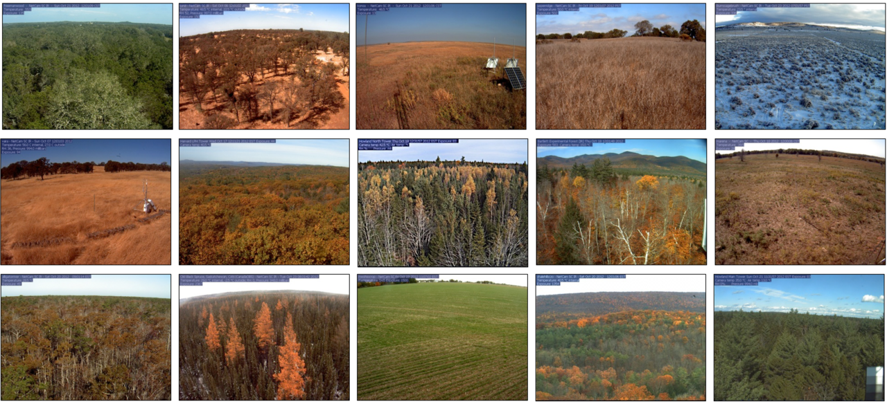 Software development and training offer opportunities to advance ‘Big Data’ discovery and scientific research: Lessons from the PhenoCam team